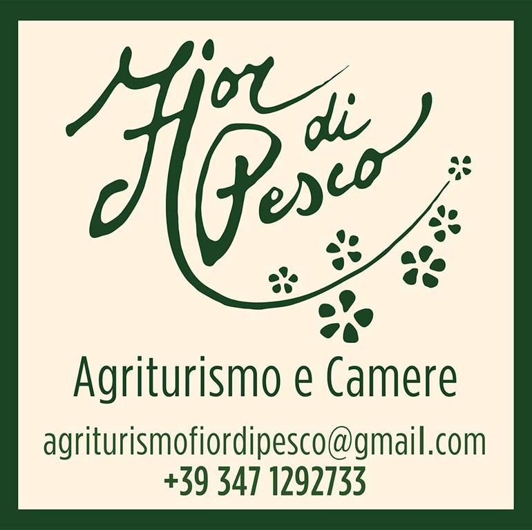 Hotel Agriturismo Fior Di Pesco Sommacampagna Exteriér fotografie